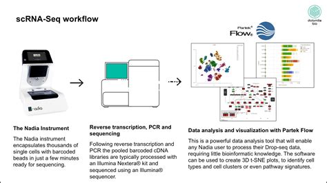 Single Cell Rna Seq Software Simple Easy To Use Partek Inc