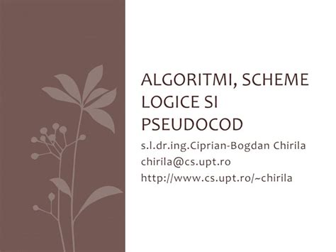 PDF ALGORITMI SCHEME LOGICE SI PSEUDOCOD DOKUMEN TIPS