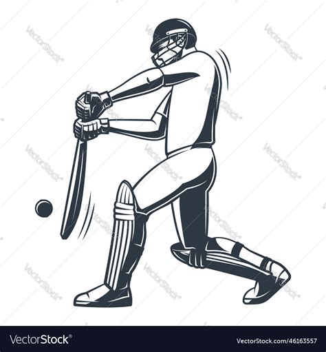 Cricket Player In Action Royalty Free Vector Image