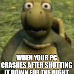 shocked turtle Meme Generator - Imgflip