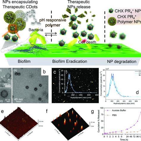 Design and characterization of nanoparticles. a Schematic... | Download Scientific Diagram