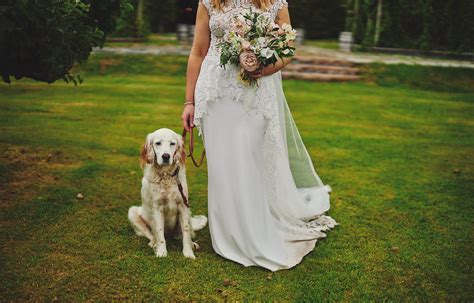 Have Your Dog At Wedding - DKPHOTO