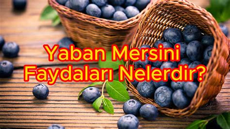 Yaban Mersini Faydalar Nelerdir G Zellik Trendleri