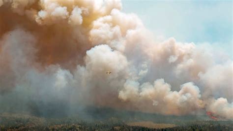 Crews Battle At Least 16 Active Wildfires Burning Across Nova Scotia