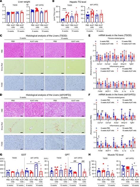 Jci Insight Targeting Activin Receptorlike Kinase Ameliorates