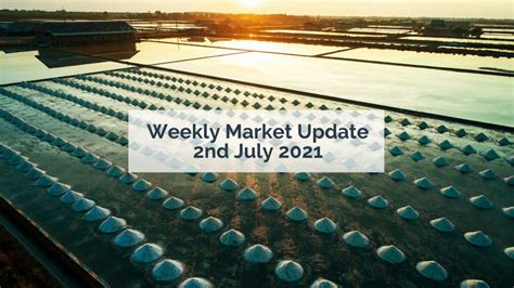 Weekly Market Update 2 July Dollar Extended Its Rally After Better