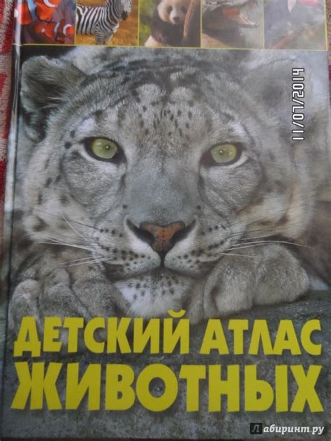 Книга: Детский атлас животных - Мариуш Любка. Купить книгу, читать ...