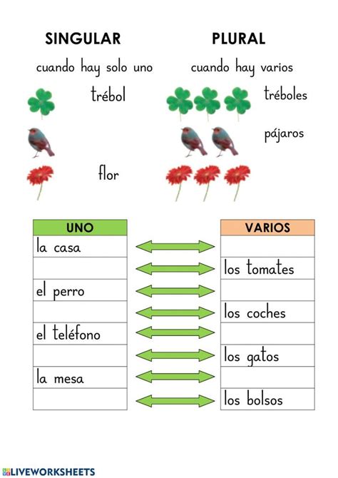 Ejercicio Interactivo De Singular Y Plural Para Primaria Puedes