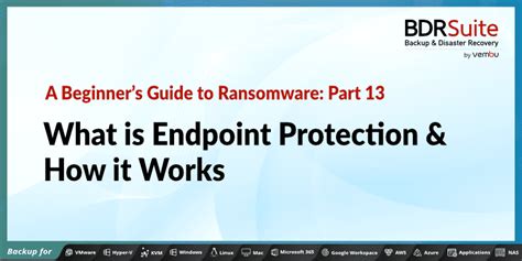 What Is Endpoint Protection How It Works Bdrsuite