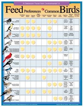 Poster - Bird Feed Preference Chart. by Environmental Ed | TpT