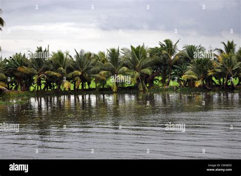 beautiful landscape  backwaters  kerala india stock photo alamy