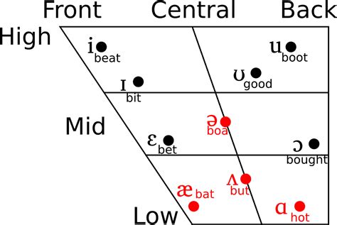 Consonants And Vowels 2 Popular Categories In English Phonics Learningmole