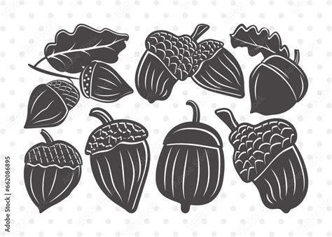 Acorn Clipart Svg Cut File Fall Svg Autumn Svg Oak Svg Oak