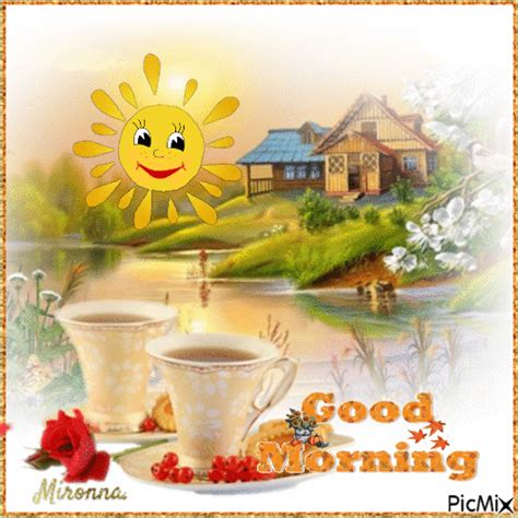 Sunny Morning Day Good Morning  Pictures Photos And Images For