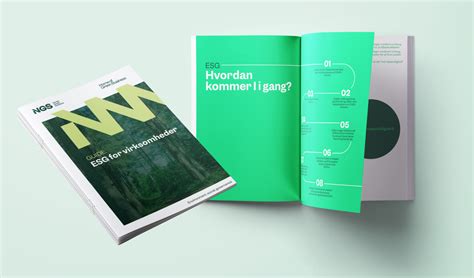 Guide: Kom i gang med ESG - Nordic Green Solutions