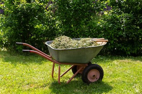 Carretilla con césped y hojas jardinería poda estacional de árboles