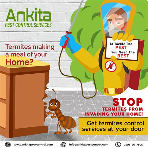 Ankita Pest Control Services - The infestations caused by the termites