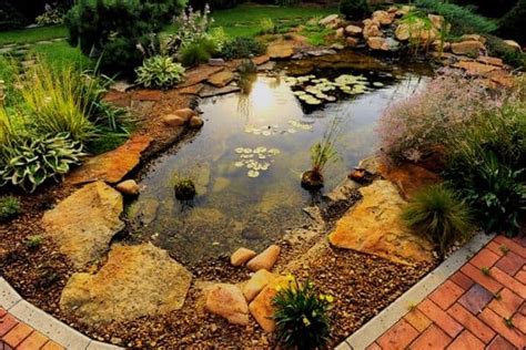 7 Pond Edging Ideas - Water Garden Advice