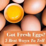 Do Eggs Go Bad How Long Do Eggs Last Can Eggs Go Bad Here S Answers