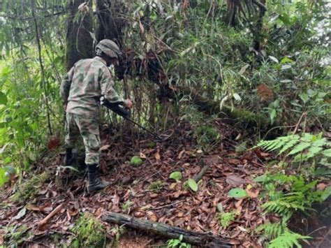 Soldado Perdi Su Pierna Y Otro Result Herido Tras Pisar Mina