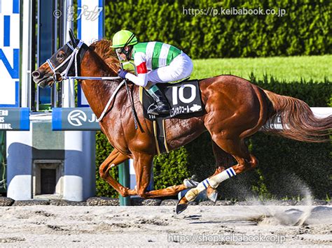 4戦4勝のセラフィックコールがみやこsに登録 ニュース 競馬ブック