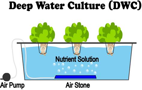 6 Different Types Of Hydroponic Systems Nosoilsolutions