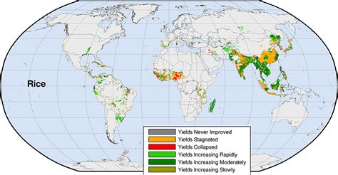 Study Global Crop Production Shows Some Signs Of Stagnating The