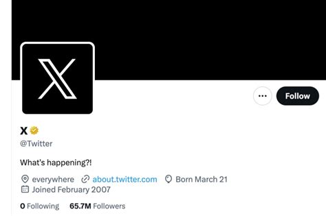 Twitter Rebranded As X By Elon Musk A New Era Begins Pocket News