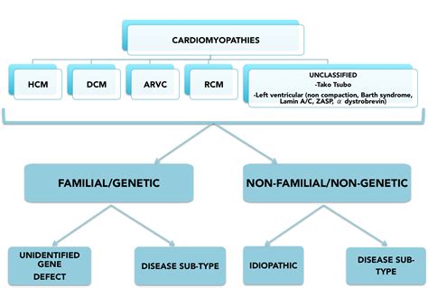 Types Of Cardiomyopathies