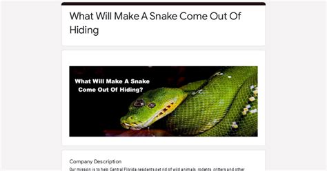 What Will Make A Snake Come Out Of Hiding