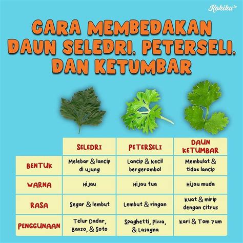 Cara Membedakan Daun Seledri Peterseli Dan Ketumbar Atmago