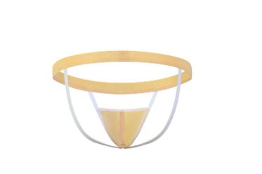 Men S String Lingerie Sexy G String Underwear Thong Thin Ice Silk Sexy Low Waist Man See Through