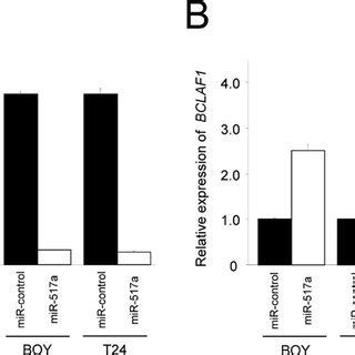 Validation Of Oligo Microarray Data By Real Time Rt Pcr A AREG Was