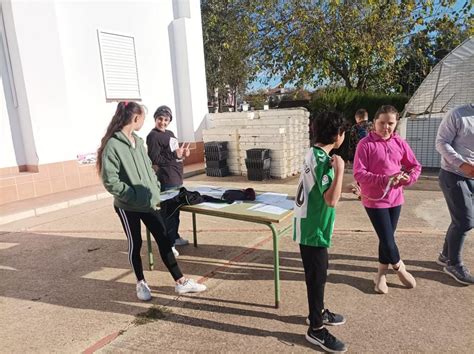 Puesta A Punto De Las Instalaciones Ceip DoÑana El RocÍo