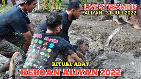 Live Festival Keboan Aliyan Youtube