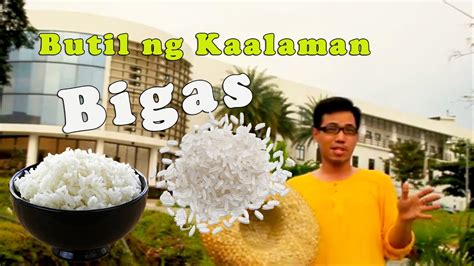 Interesting Facts And Trivia About Rice L Butil Ng Kaalaman Bigas