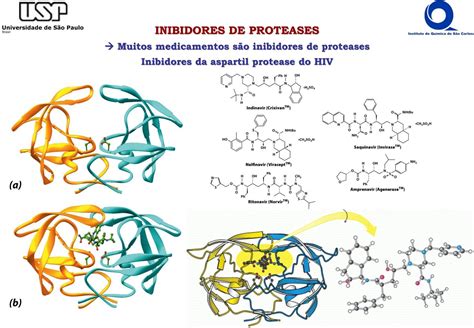 O Uso De Inibidores De Proteinas Permite Estudar - INIBIDORES DE PROTEASES