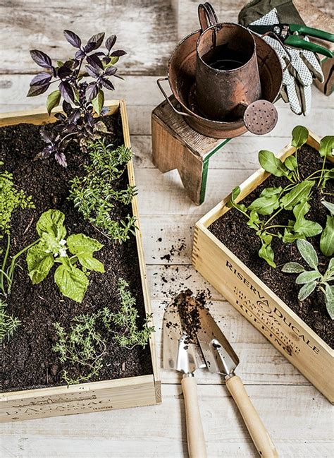 Maneiras Criativas Para Montar Uma Horta Em Casa Dicas De Plantio