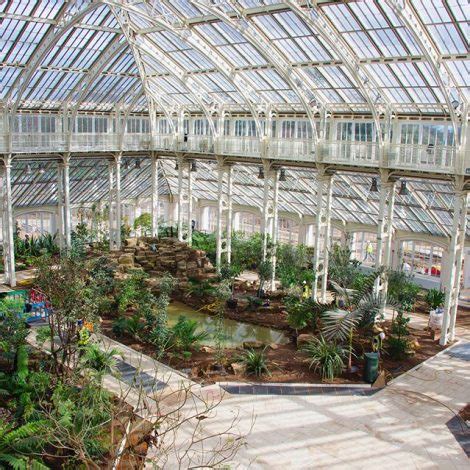 Glasshouse At Kew Gardens Reopens After A Massive Renovation