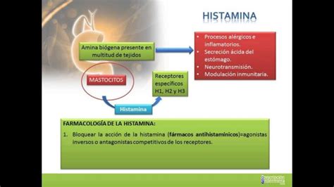 Los Antihistam Nicos Fuertes M S Efectivos Gu A Completa De Alivio