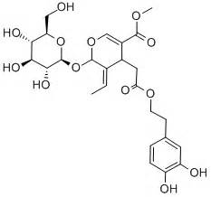 Olive Leaf Extract Oleuropein 5-98% Hydroxytyrosol 5-40% - Standardized Plant Extract - Wincobel ...