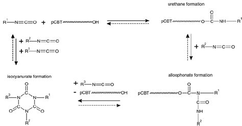 Possible Reaction Mechanisms Of Pcbt Hydroxyl End Groups And Isocyanate