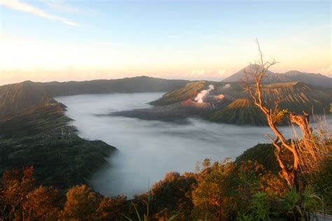 Paket Bromo Ijen Tour Wisata Gunung Bromo Kawah Ijen Bromo Tour Paket