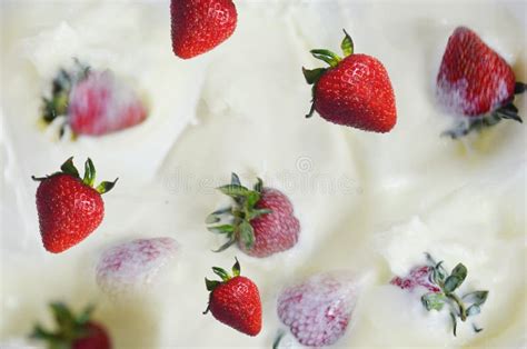 Strawberry Falls Into Milk Yoghurt Sour Cream Splash Strawberries