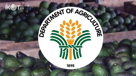 Ph Starts Exporting Hass Avocado To South Korea — Ikot Ph