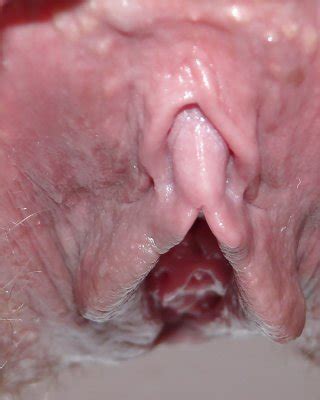 Haarige Muschi Große Schamlippen Lippen Porno Bilder Sex Fotos XXX Bilder 303578 PICTOA