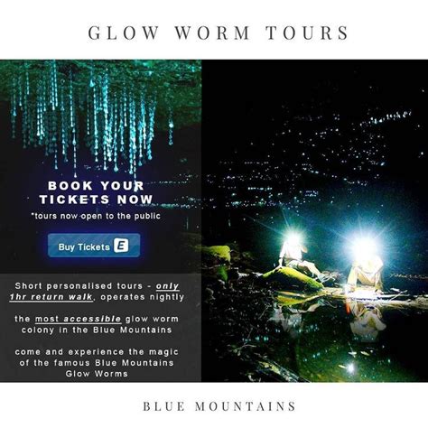 Experience A Pristine And Spectacular Glow Worm Colony At The Love