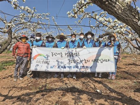 천안시기자협회·농어촌공사 천안지사 배꽃 인공수분 일손돕기 구슬땀