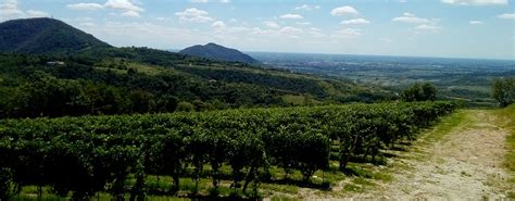 In Viaggio Sui Colli Euganei Il Sentiero Del Monte Fasolo Needfile