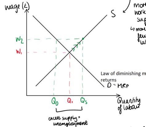 6 The Labour Market Flashcards Quizlet